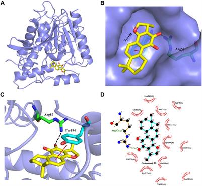 Discovering monoacylglycerol lipase inhibitors by a combination of fluorogenic substrate assay and <mark class="highlighted">activity-based protein profiling</mark>